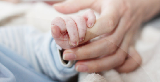 Dr. Cerón Rodríguez